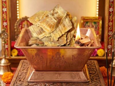 Dhoop Lakdi (Deodar / Cedar Wood) for Puja & Havans – 500g | Pure & Natural Cedrus Deodara