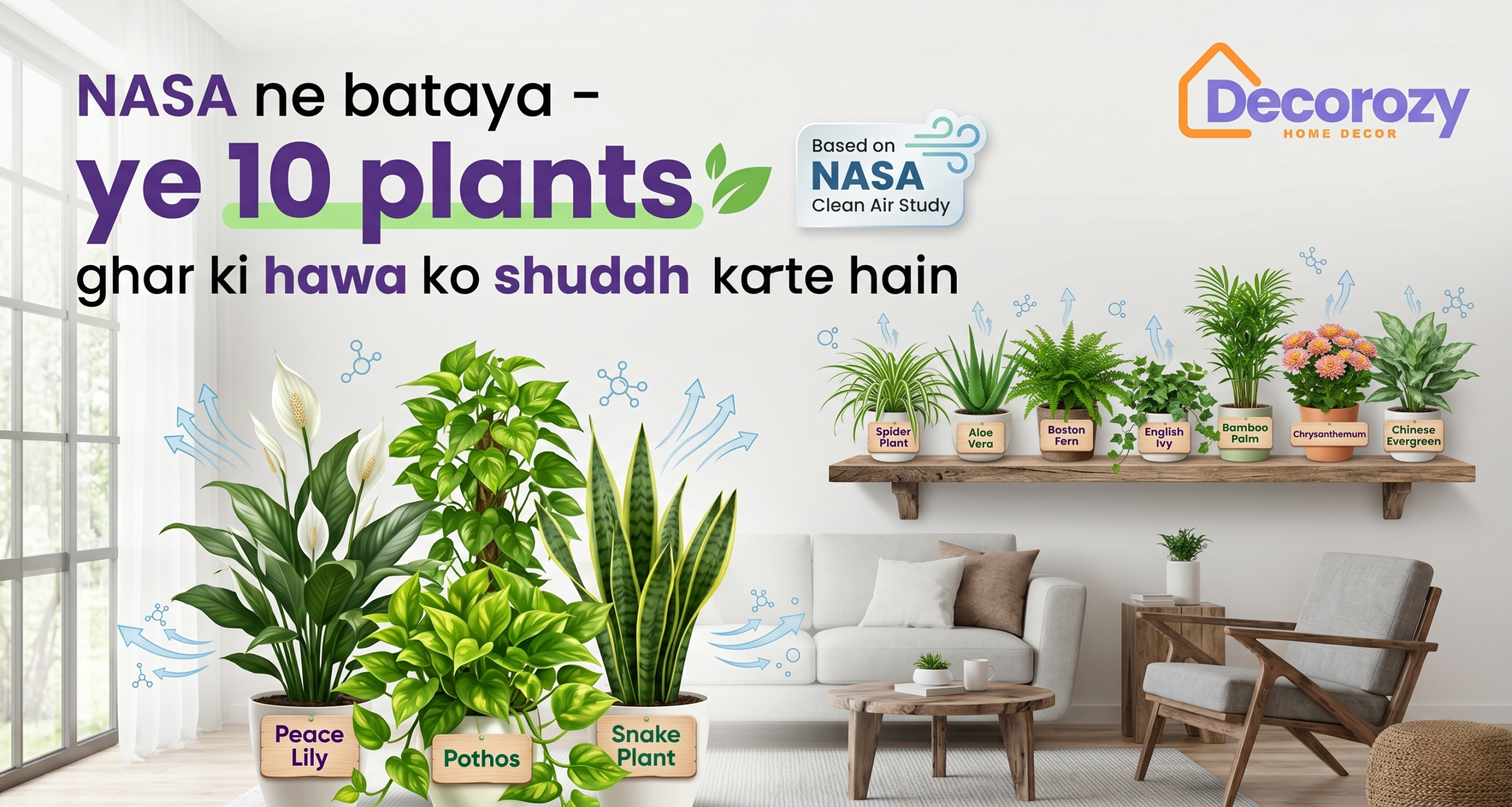 NASA ne bataya -ye 10 plants ghar ki hawa ko shuddh karte hain