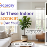 90% Make These Indoor Plant Placement Mistakes (Are You?)