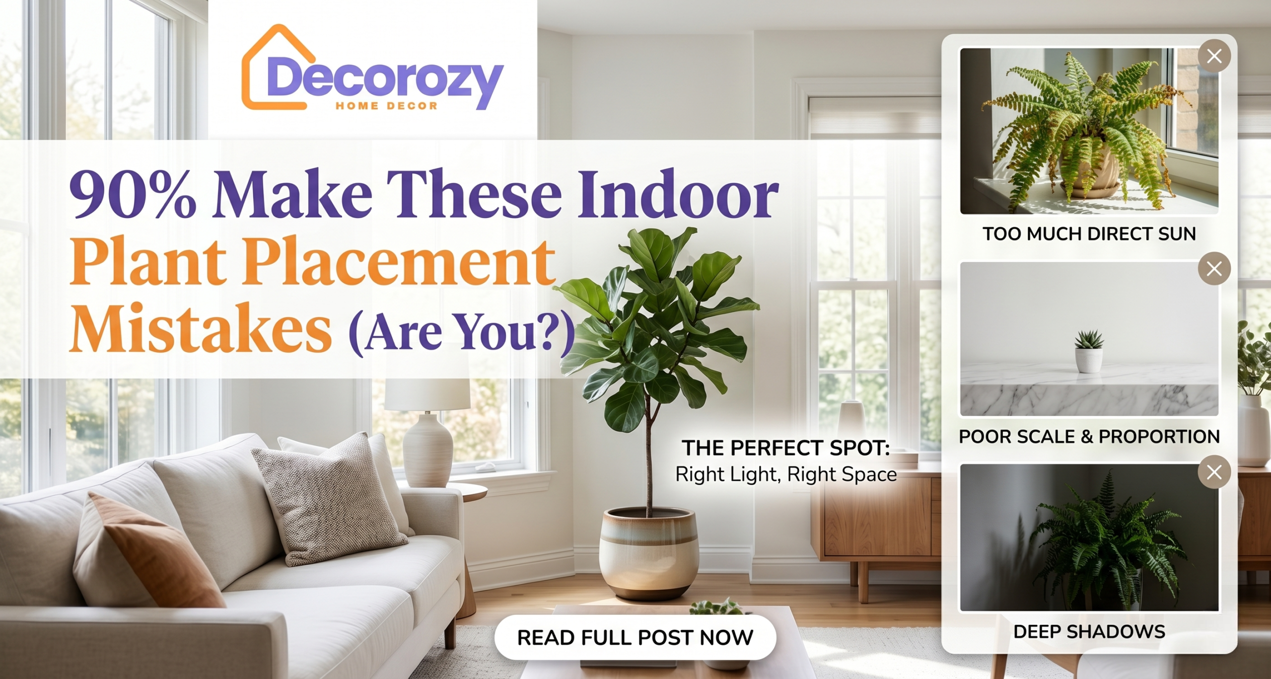 90% Make These Indoor Plant Placement Mistakes (Are You?)