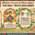 Money Plant and Feng Shui: The Real Truth Explained