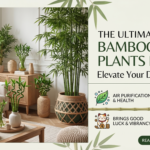 The Ultimate Guide to Bamboo Plants Benefits in Home: Elevate Your Decorozy Space